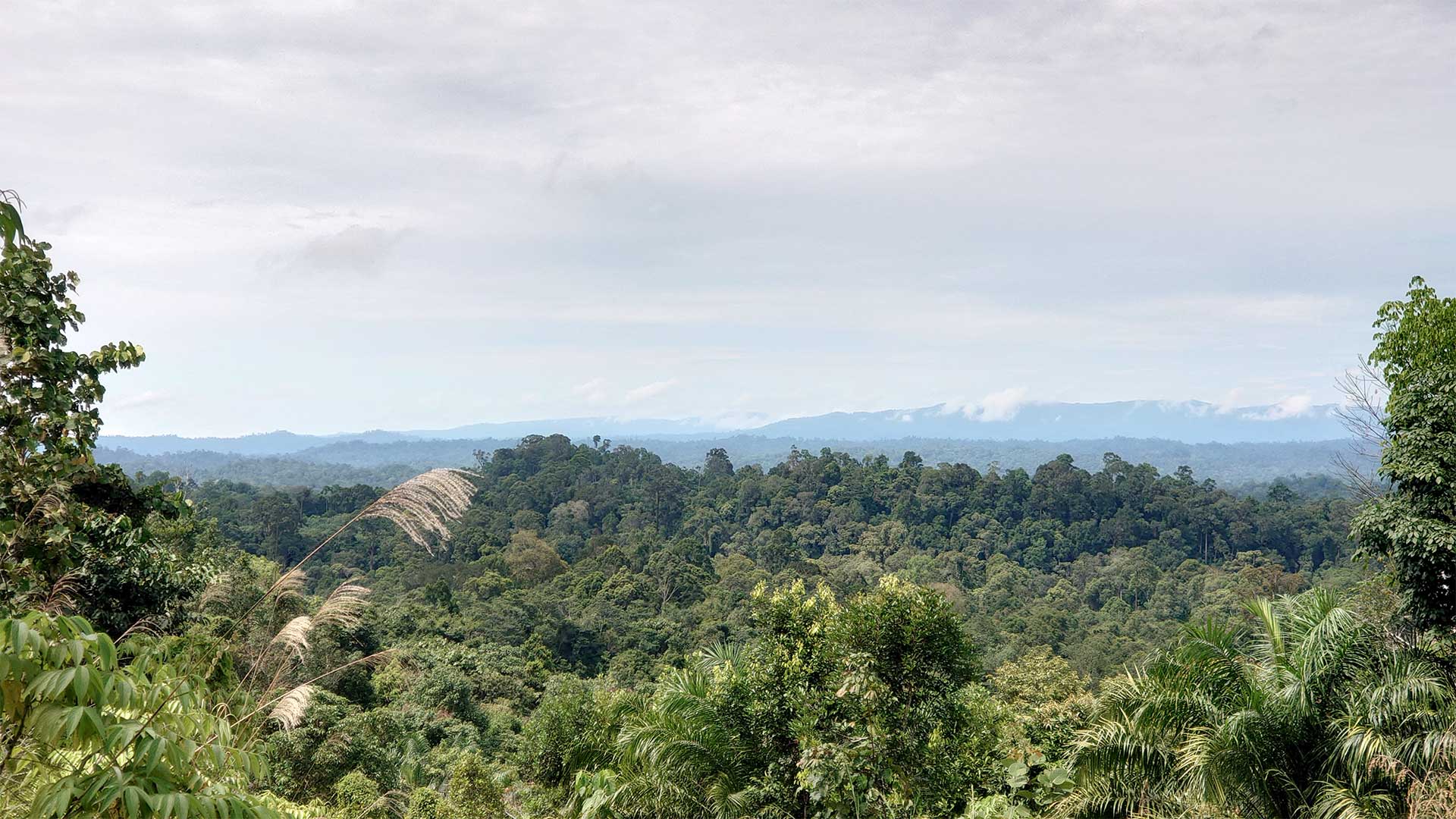 Pengunungan Muller-Schwener. Foto: Roni Sahala