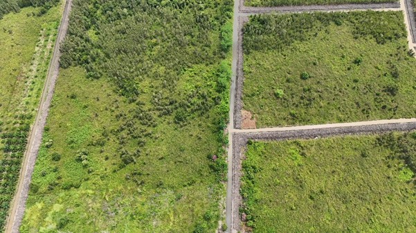 Ladang